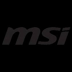 MSI MSI official logo