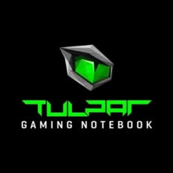 Tulpar Tulpar official logo